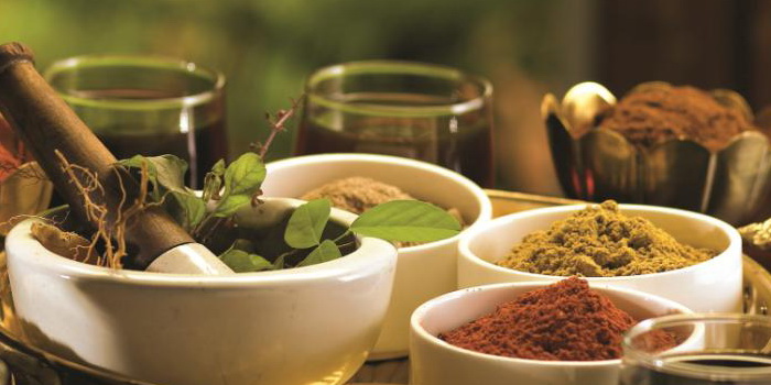 Well-Being Retreat - At Krishnendu Ayurveda